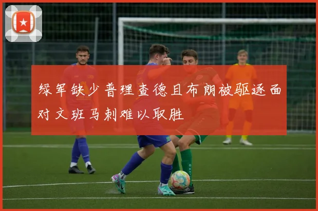 绿军缺少普理查德且布朗被驱逐面对文班马刺难以取胜