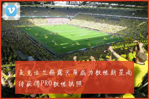 麦克法兰崭露头角成为教练新星尚待获得PRO教练执照