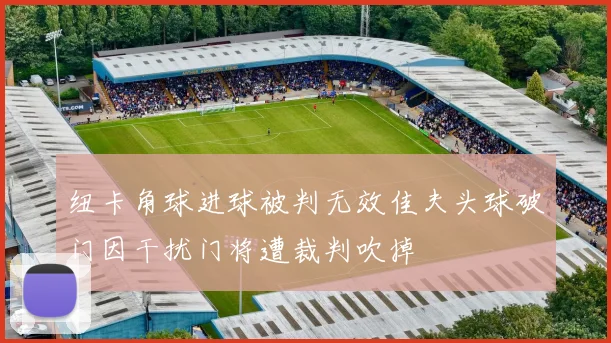 纽卡角球进球被判无效佳夫头球破门因干扰门将遭裁判吹掉